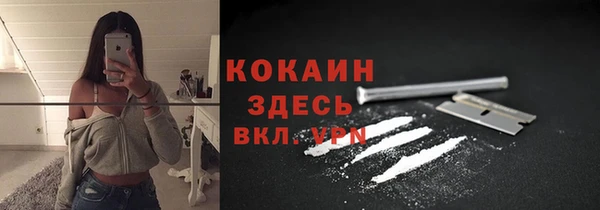 ГАЛЛЮЦИНОГЕННЫЕ ГРИБЫ Новокубанск