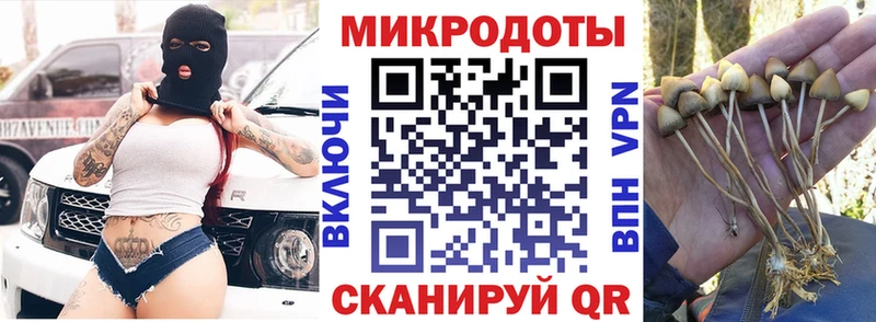 Галлюциногенные грибы Psilocybe  купить  цена  Касимов 