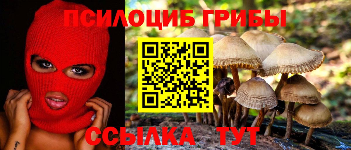 Галлюциногенные грибы прущие грибы Касимов