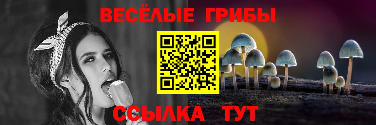 Касимов  Псилоцибиновые грибы мухоморы  Галлюциногенные грибы MAGIC MUSHROOMS  Вход с VPN 